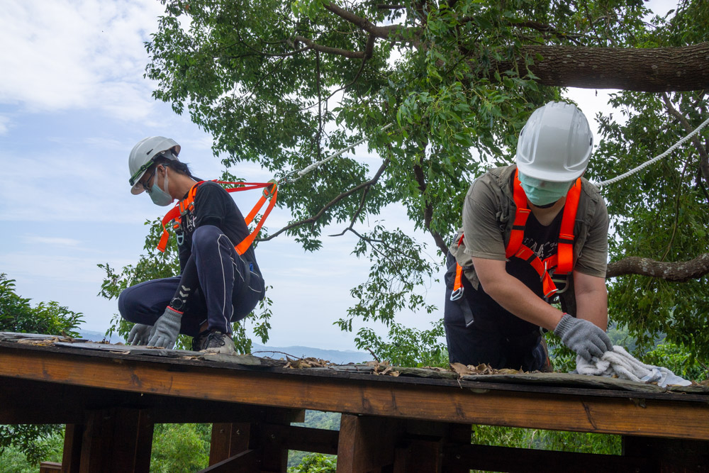 Les joies de l'éco-construction Les joies de l'éco-construction
