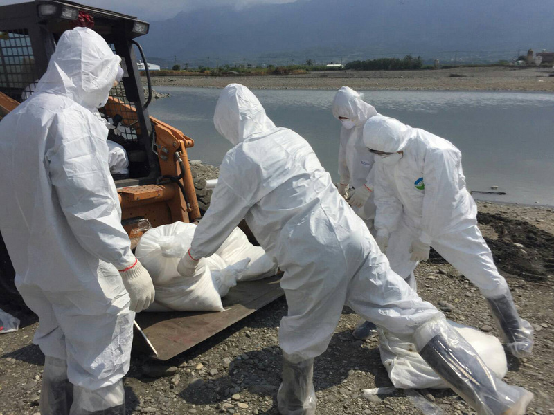 Taïwan se prépare contre une éventuelle épidémie de grippe aviaire