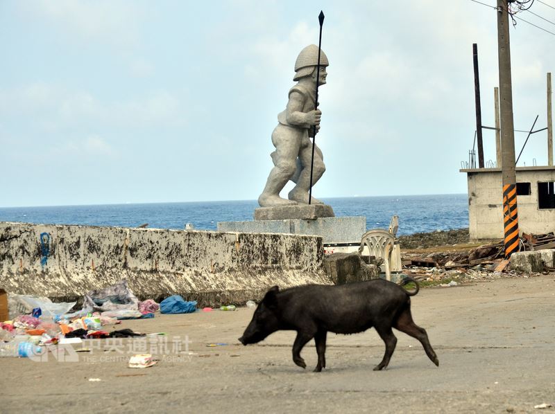 Les incultes au milieu des sangliers et des athlètes