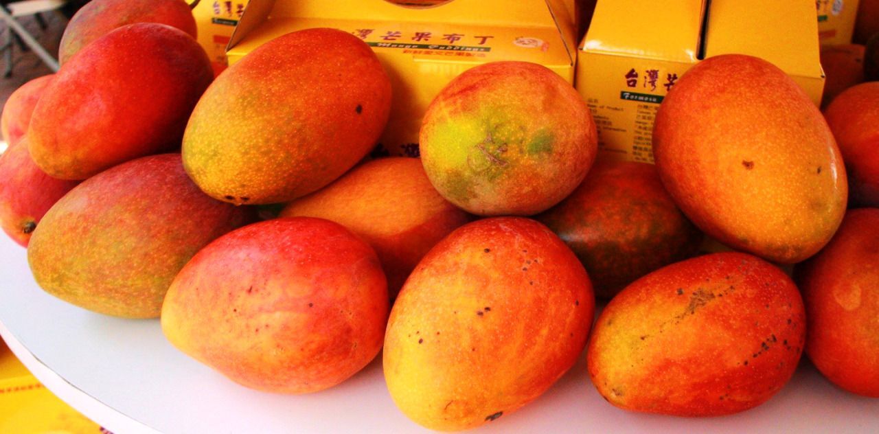 La Nouvelle-Zélande suspend l'importation de mangues et de litchis taïwanais infestés par des mouches orientales des fruits
