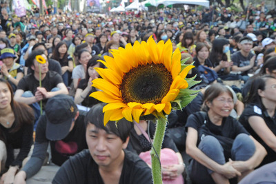 Mouvement des tournesols : le verdict de la Haute Cour cassé en raison du droit à la résistance