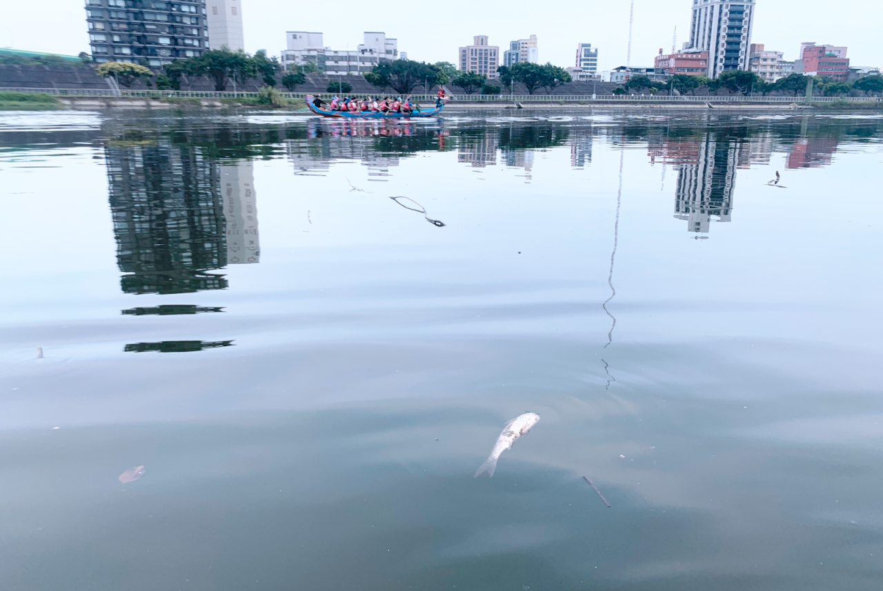 OEPAT: chanson interdétroit de la discorde, les microplastiques dans les rivières et la pénurie d'oeufs