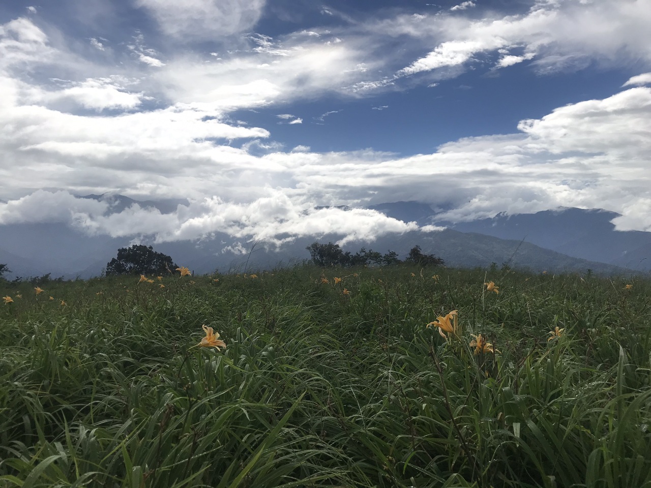 On en parle à Taïwan : Chia, balade à Yuli, sel et huîtres, Fotiaochiang