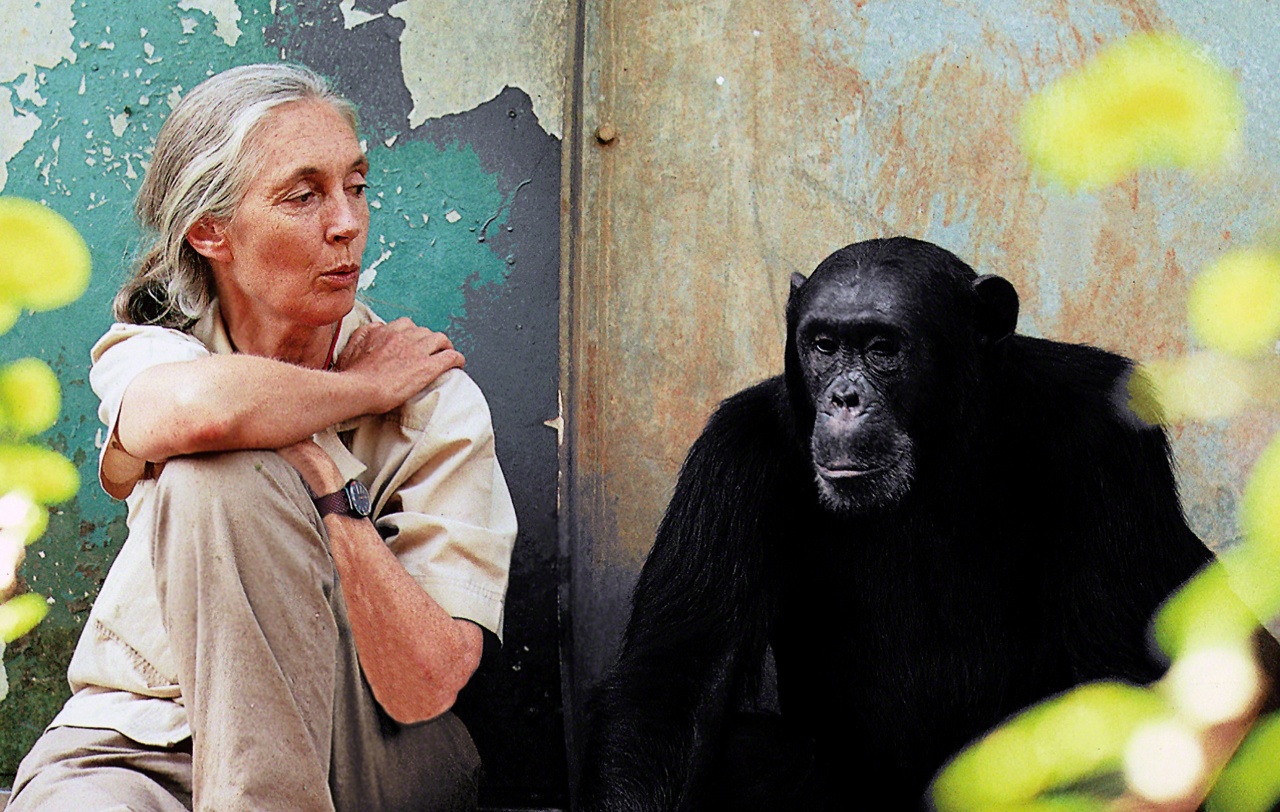 L’Institut Jane Goodall de Taiwan annonce la création d’une école primaire à Taipei