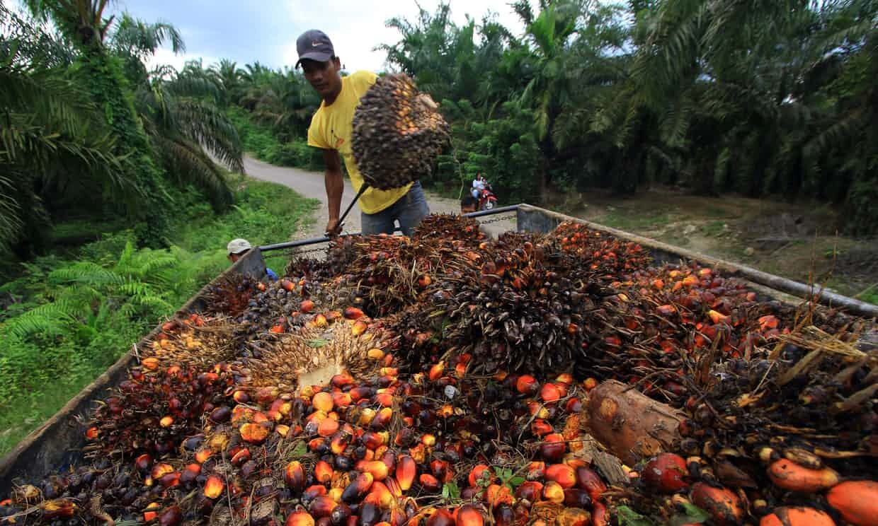 Lancement d’un programme de stages agricoles entre Taïwan et les Philippines