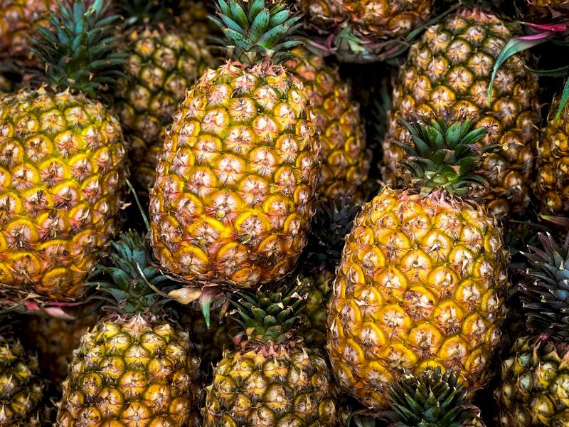 Le ministère de l’Agriculture estime peu probable l’importation d’ananas philippins durant la pleine saison à Taïwan