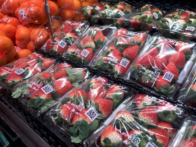 Produits contaminés de Fukushima : la diplomatie tente de rassurer les députés