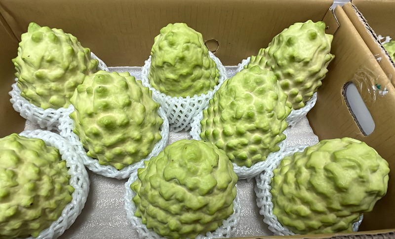 Taiwan attend toujours le feu vert chinois pour reprendre l'exportation de ses pommes-cannelles