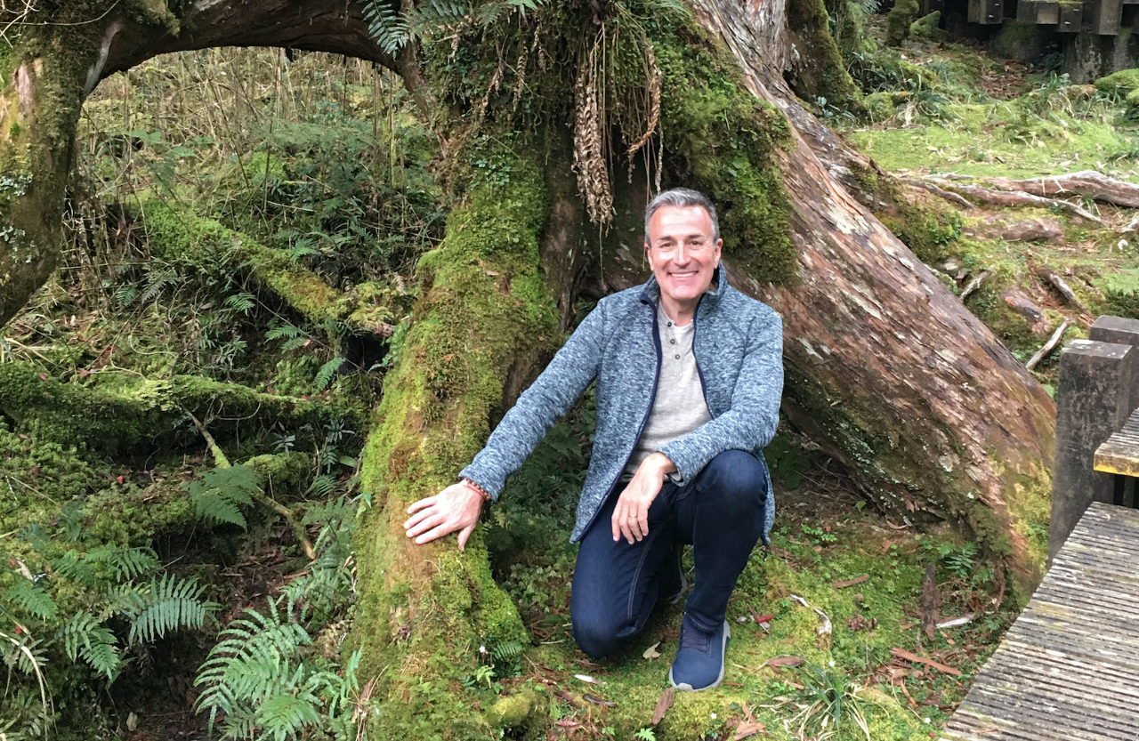 Ralentir et se connecter à soi grâce à la forêt